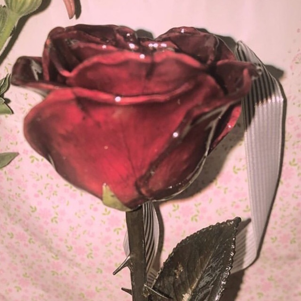 Meet your Posher, Liz